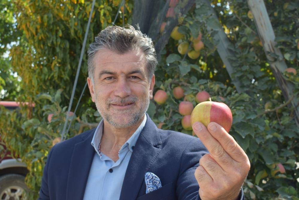 Elmasıyla ünlü ilimizde yetişti! Gören başka yiyen başka şaşkınlık yaşıyor 1